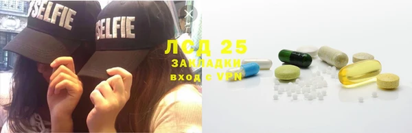 ПСИЛОЦИБИНОВЫЕ ГРИБЫ Алексин