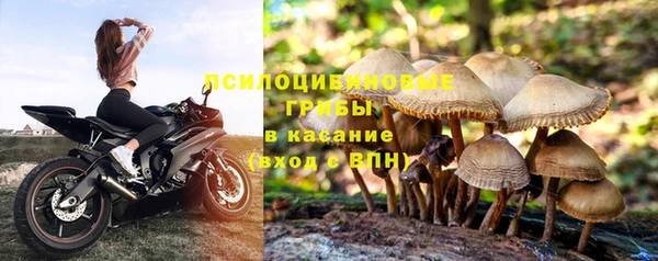 ALPHA PVP Алзамай