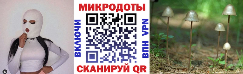Галлюциногенные грибы Magic Shrooms  Череповец 
